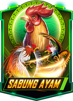 Peri4D sabung ayam