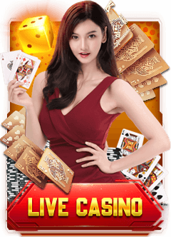 M11Toto LiveCasino
