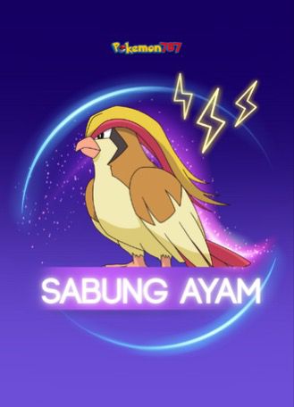 Pokemon787 sabung ayam