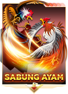 TotoKing4D sabung ayam
