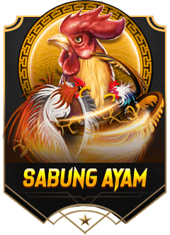 Champion4D sabung ayam