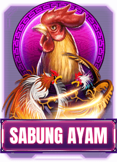 GioToto sabung ayam
