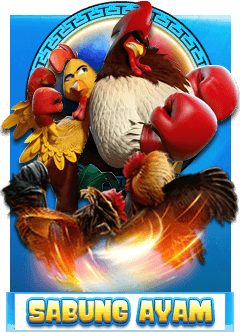 TogelGalaxy sabung ayam