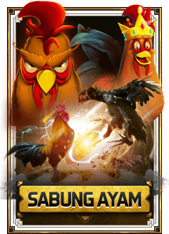 RatuKing4D sabung ayam