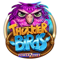 THUNDER BIRDS POWER ZONES
